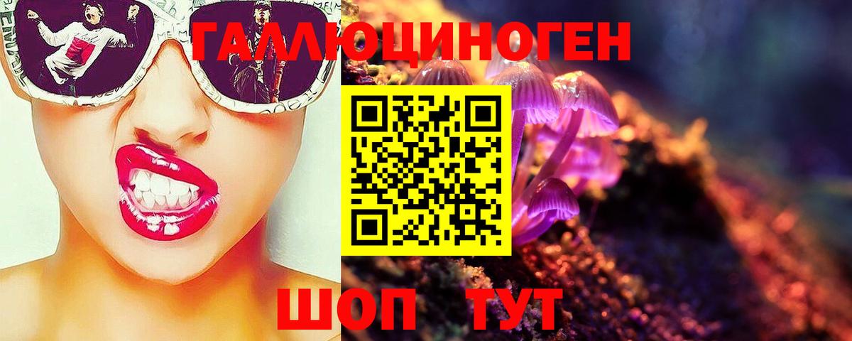 Галлюциногенные грибы прущие грибы  Галлюциногенные грибы прущие грибы  Вход с VPN  Тверь 