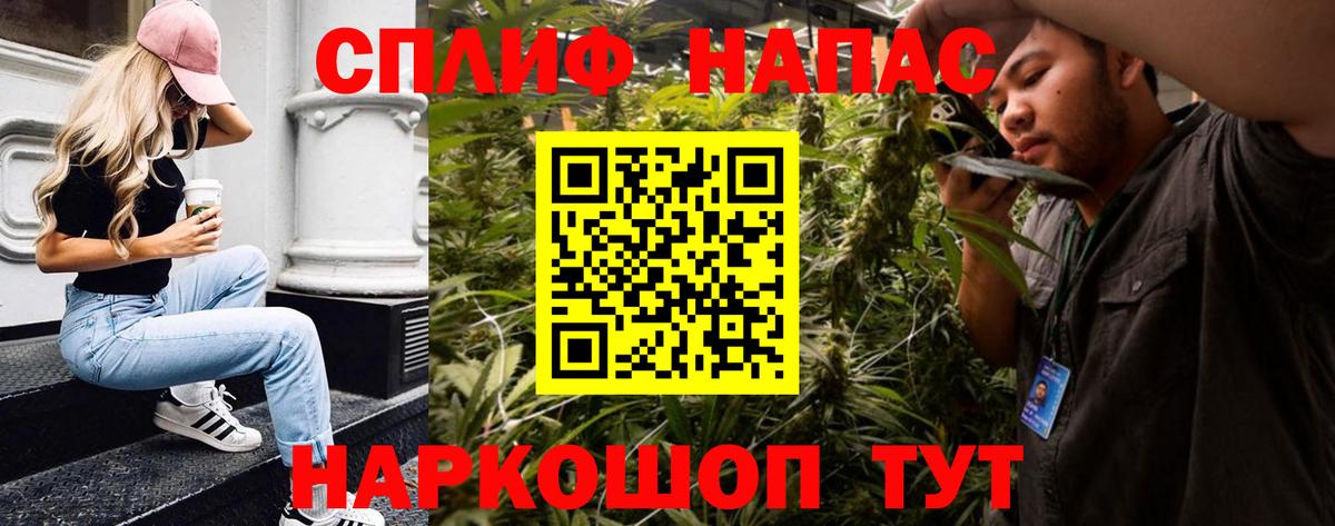 Бошки Шишки AK-47  Бошки Шишки ГИДРОПОН  Вход с VPN  Конопля план  Бошки Шишки гибрид  Тверь 